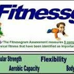 Fitnessgram (freestyle)