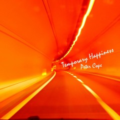 Temporary Happinness