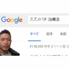 スズメバチに刺されたので治療法を考えるゆうさく