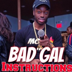 Bad Gal Instructions (Pon Di Cocky Riddim) - Dj Badsuh DOWNLOADABLE !! REPOST