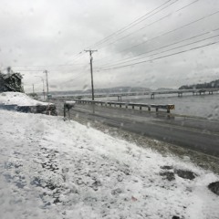 Snowy Days