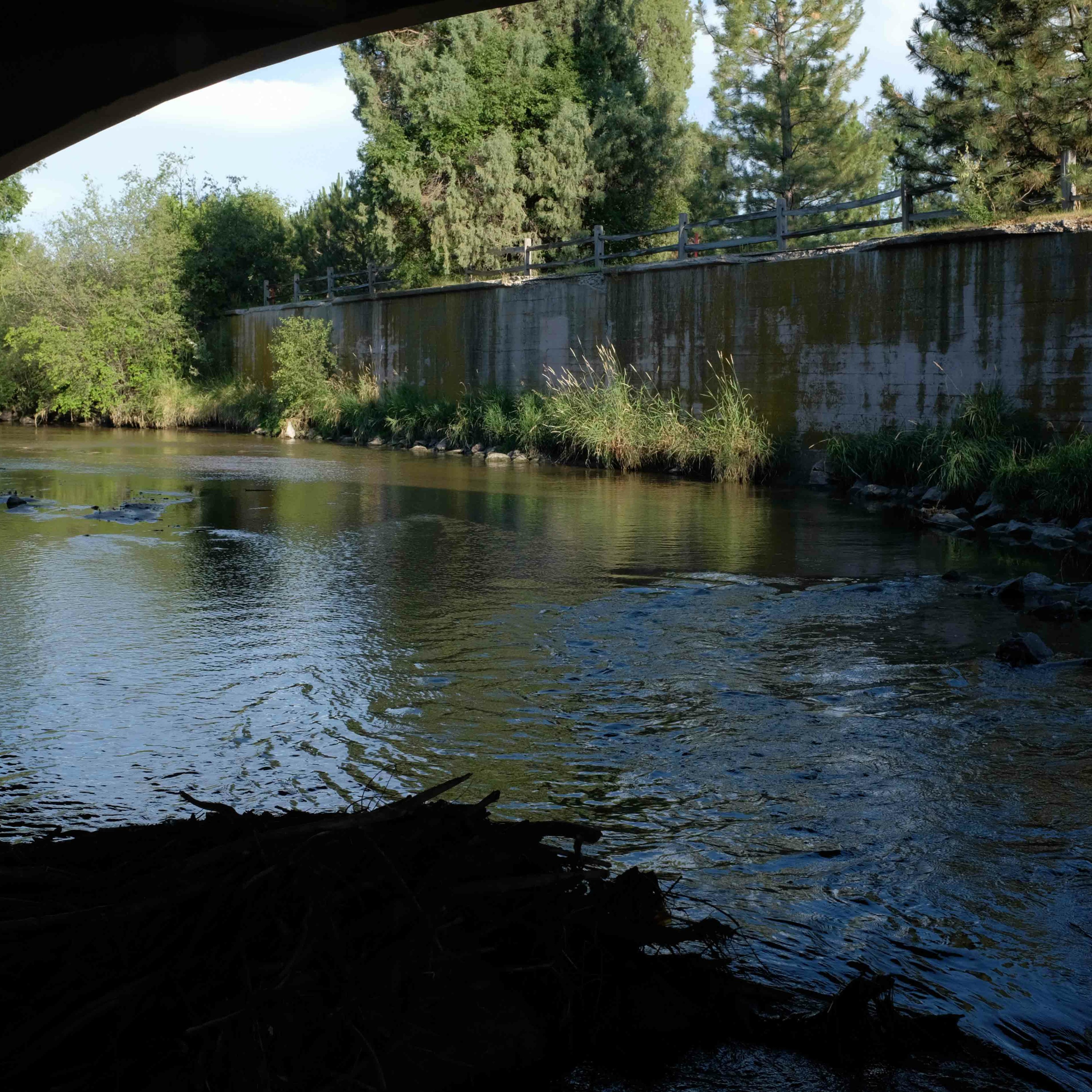 cover of episode Cherry Creek Bike Path