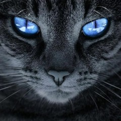 MDQ(DEEP SIDE)-(House Tecnho-Tech House)