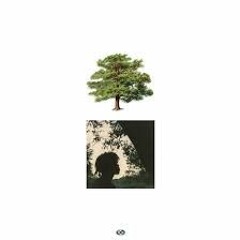 Trapo - Speed