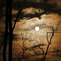 Night Moon Macabre [Gina & The 3 M Group]