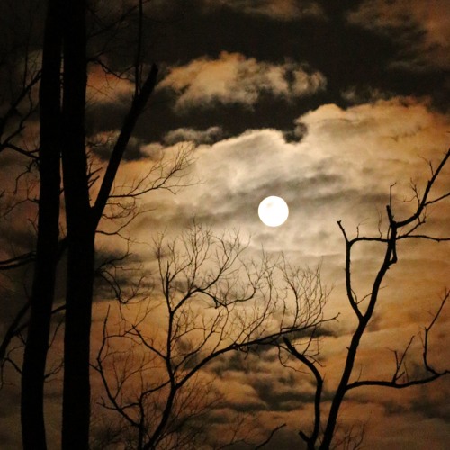 Night Moon Macabre [Gina & The 3 M Group]