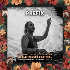 Prefix at Little Forest Festival NYE 2019