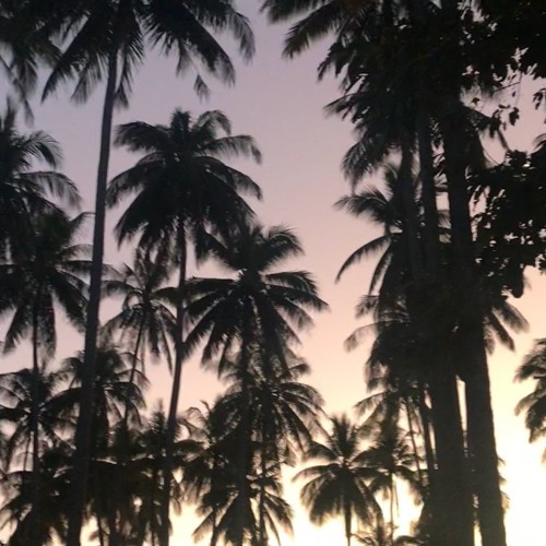 Mood Out There (remix)