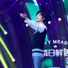 被风吹过的夏天 - Xiao Zhan 肖战 ft. Na Ying 那英
