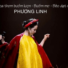 Phương Linh - Mashup Bướm mơ - bèo dạt mây trôi,