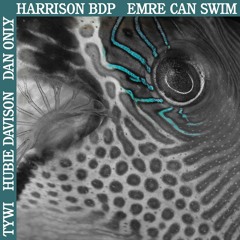 [ARS003RMX] feat Tywi, Hubie Davison, Dan Only, Harrison BDP & Emre Can Swim // Previews