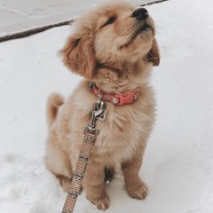 𝐨𝐡 𝐛𝐚𝐛𝐲