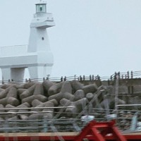 우이42 Inst DEMO jeju