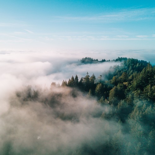 Carbon Capturing Machines