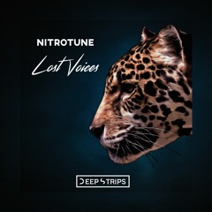 Nitrotune - Lost Voices (Original Mix)
