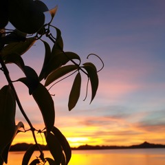 PASSENGER (original) by Rose🥀