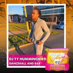 Nights In Napa Official Wildcard Mix | DJ TY Hummingbird | @TY_Hummingbird @Nightsinparties ⛱