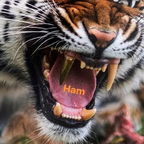 Ham (Beats EP)