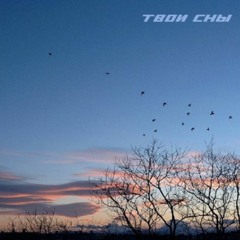 Твои Сны