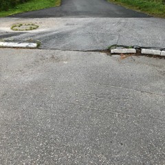 Cocorosie - Beautiful Boyz - Cover