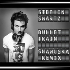 Stephen Swartz - Bullet Train (Shawuská Remix)