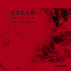 SYMM030 A - Break - Got A Feelin - 1min30clip