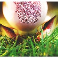200 Wege ins gras Zu beißen