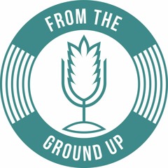 From the Ground Up Ep. 19: David Greenfield on SK nuclear resistance pt 1 | 2017.02.01