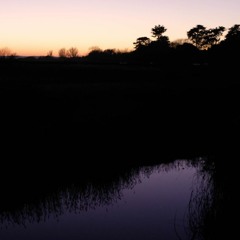 Last Night in Paradise