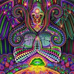 Insector - High times