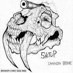 Shitlip - Baby On A Bus Ft Leevil