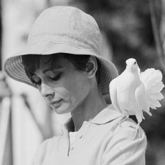 شادمهر دل خوشی