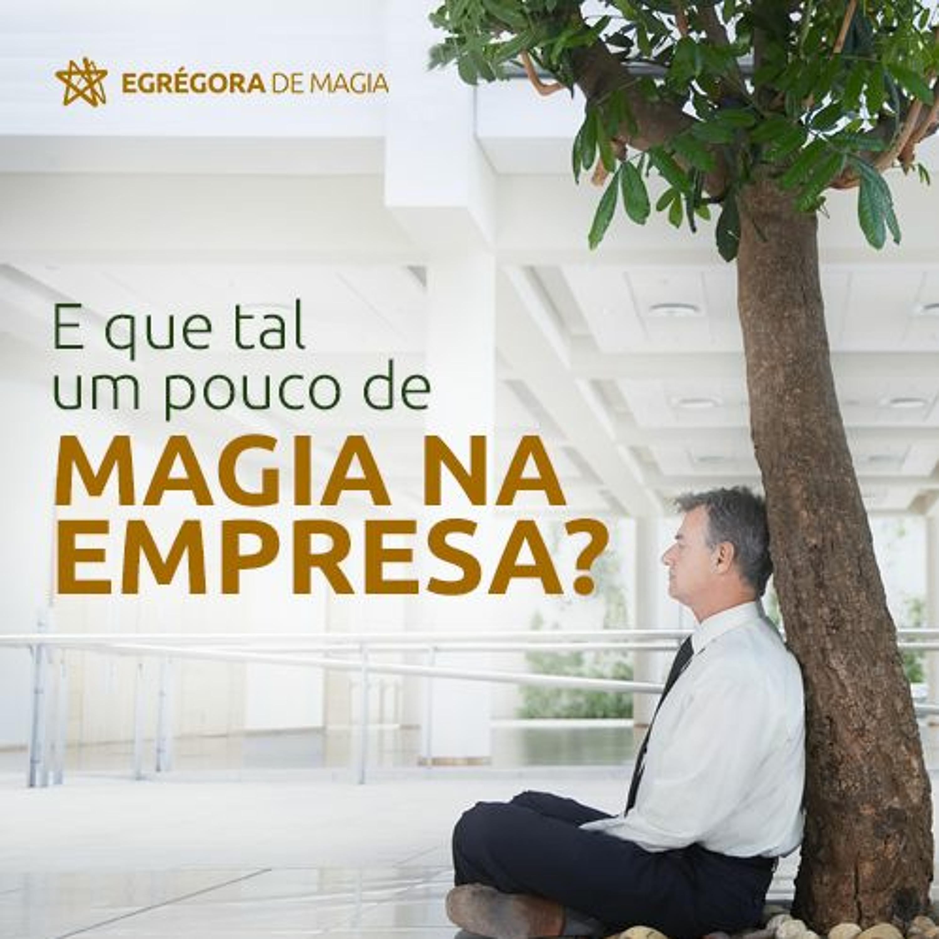 Escola De Magia