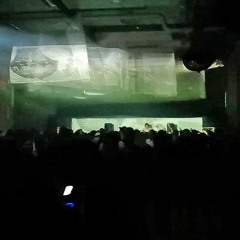 Hypnotic Woods: The After