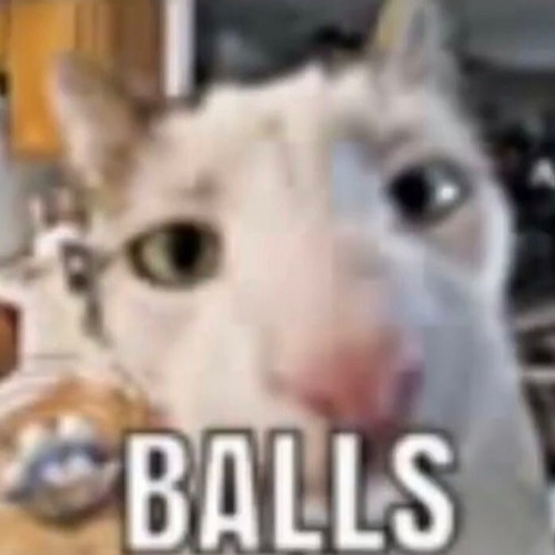 when 6ix9ine comes out in 2020