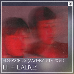 ELSEWORLD MIX: LII + LAENZ