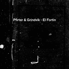 Premiere:  Pfirter & Grindvik - End This [LEYLA014]