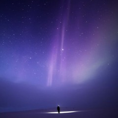 Shapeshifter x Speeker - Lonely Nights