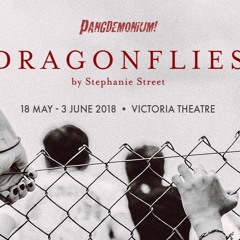 03 Dragonflies - Deportation Notice Transition