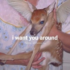 I Want You Around