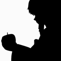 Zhiyu Moke (徵羽摩柯) - Bad Apple (Chn. ver)