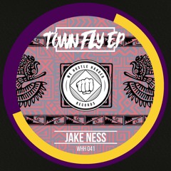 Jake Ness - Town Fly (Original Mix)