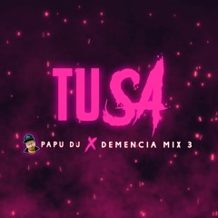 PERREO TUSA🌸 - PAPU DJ (DemenciaMix3)