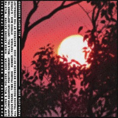 Will & Dill - Untitled (September '18) [PCLTD04]