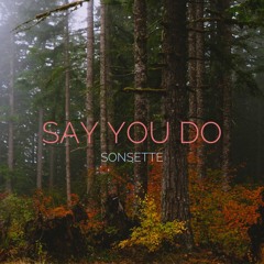 Say You Do (prod. Sonsette)