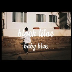 Black Lilac - Baby Blue