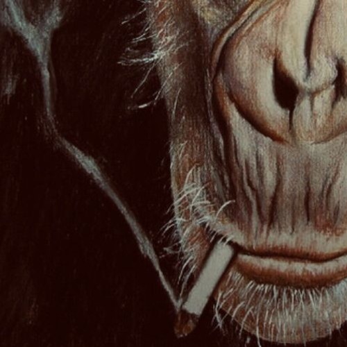 Monkey (Original Alternative Indie Rock Grunge Music INSTRUMENTALS)