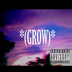 Knwd1 x Yung T x Spider Chief - Grow