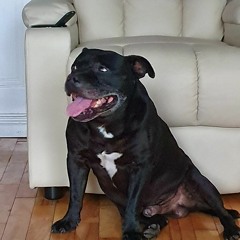 Fusion - Michael Kilkie