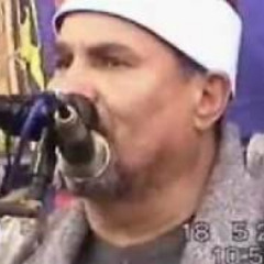 الشيخ محمد عبد الوهاب الطنطاوي